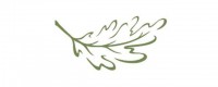 leaf4