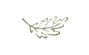leaf4