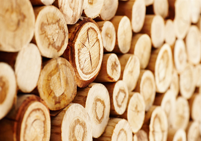 Closeup of wooden logs piled up together